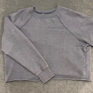 COPY - Aerie Cropped Crewneck